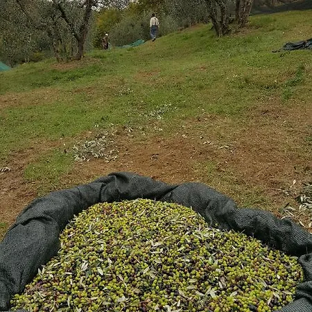 Farm stay Sommassa