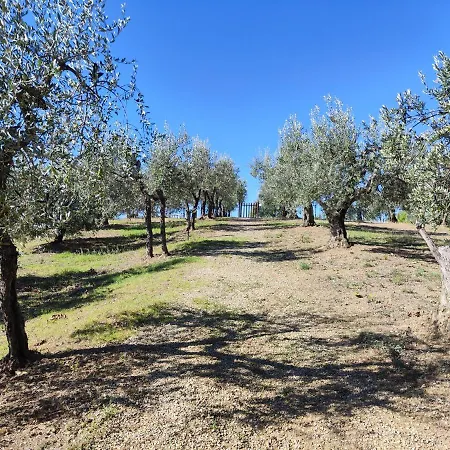 Sommassa Farm stay *