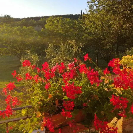 Farm stay Sommassa Greve in Chianti