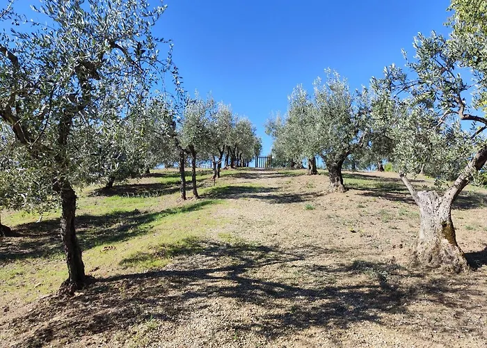 Sommassa Alojamento de Turismo Rural *