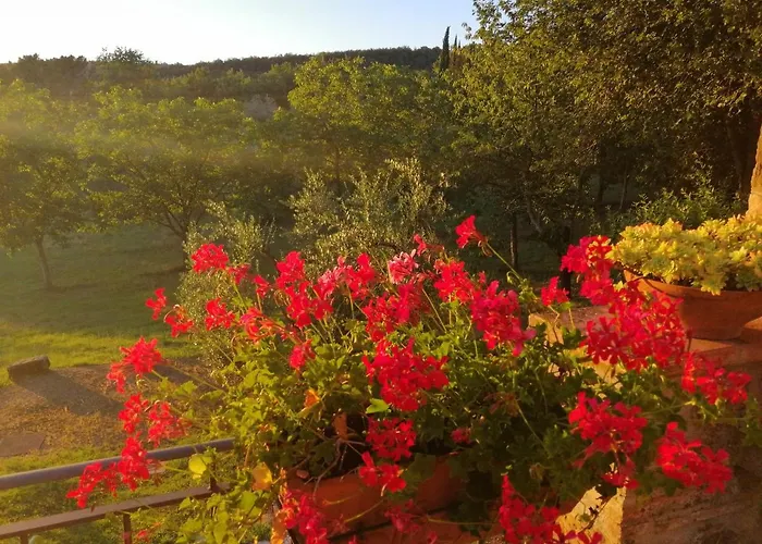 Alojamento de Turismo Rural Sommassa Greve in Chianti